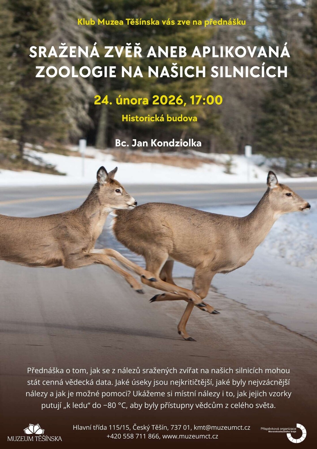KMT Sražená zvěř aneb aplikovaná zoologie na našich silnicích