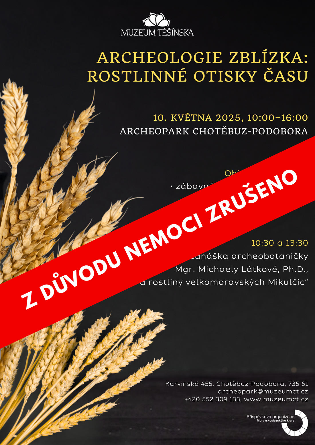 AP_-_Archeologie_zblízka_-_rostlinné_otisky_času.jpg