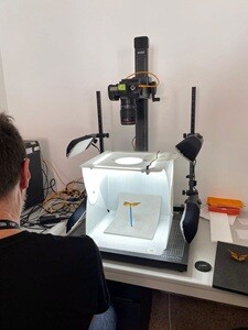 Erasmus Karolina 1