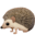 🦔