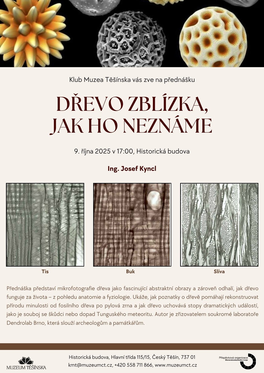 KMT Dřevo zblízka jak ho neznáme
